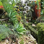 Benatalaya Apartament Estepona